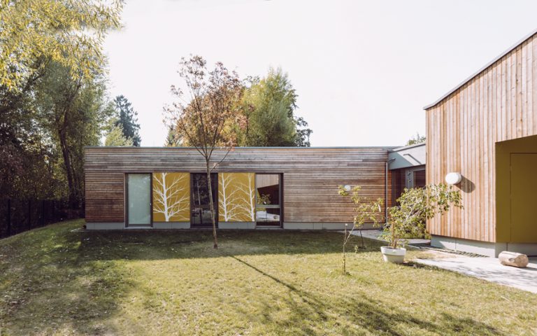 Mario C. E. Freese 2016