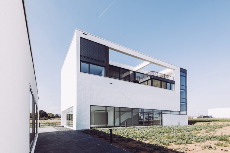 Mario C. E. Freese 2016