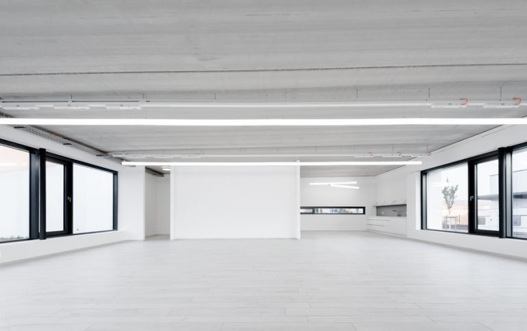 Mario C. E. Freese 2016