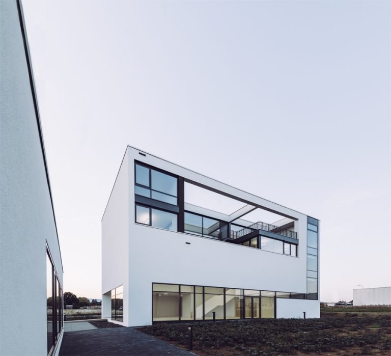 Mario C. E. Freese 2016